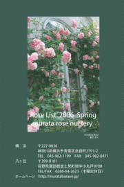2006年春