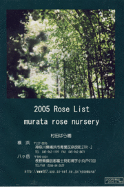 2005年春
