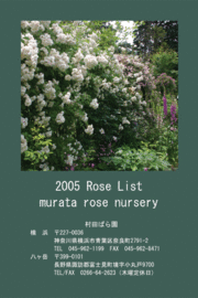2005年秋